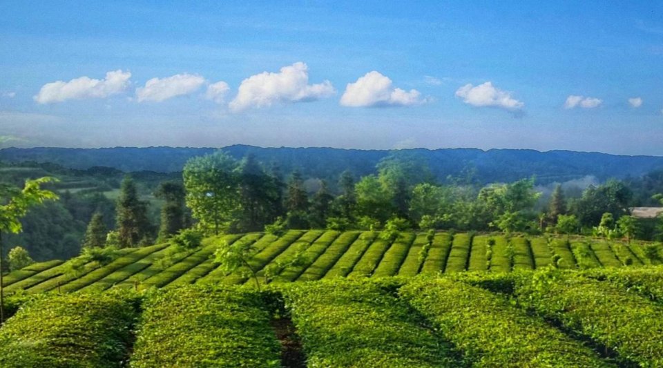 0NgfRdwkXL.jpeg 0NgfRdwkXL.jpeg