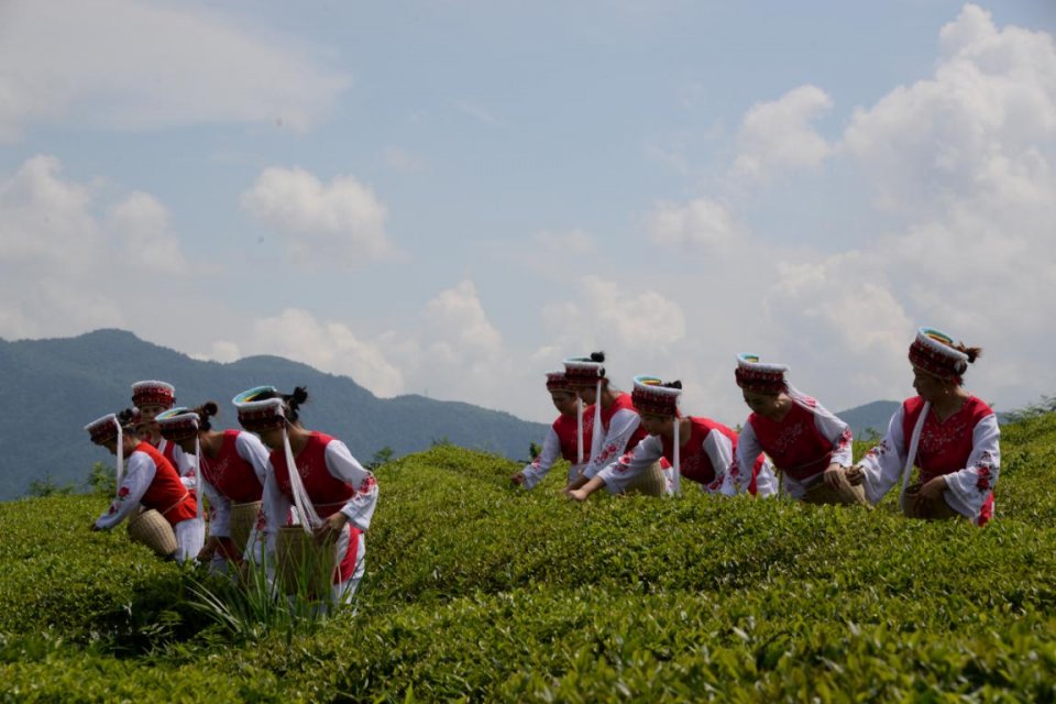 0NgfRdPkTl.jpeg 0NgfRdPkTl.jpeg