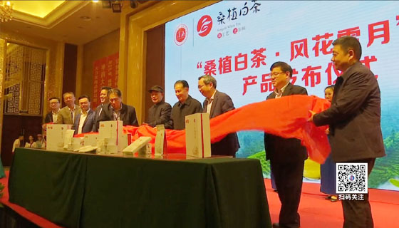 “桑植白茶”產(chǎn)品發(fā)布會新聞報道