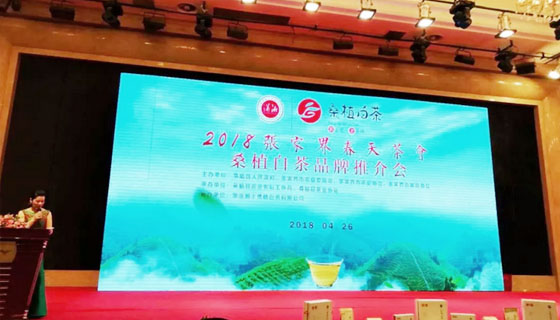 相約春天，湘豐桑植白茶正式發(fā)布 