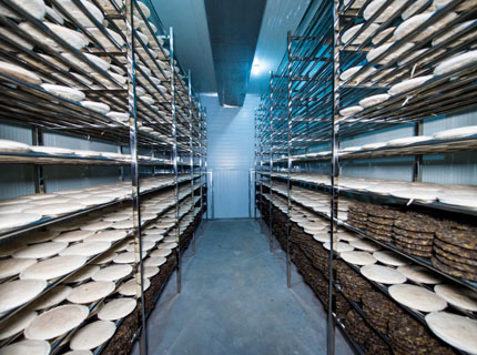 白茶餅增香.jpg 白茶餅增香.jpg