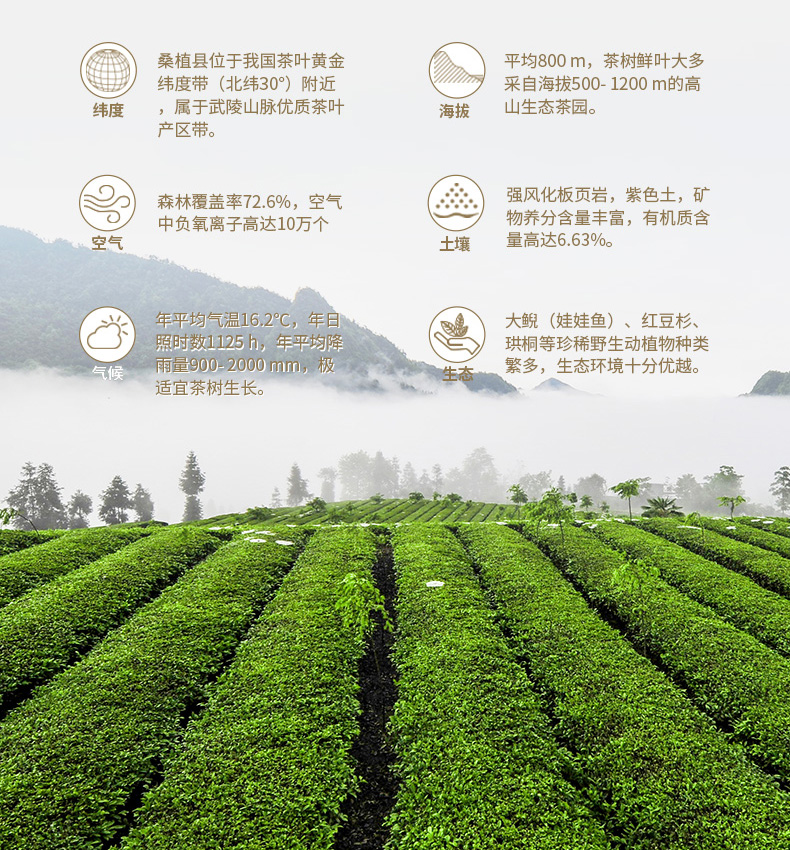 【風(fēng)花雪月】大聯(lián)歡_05.jpg 【風(fēng)花雪月】大聯(lián)歡_05.jpg