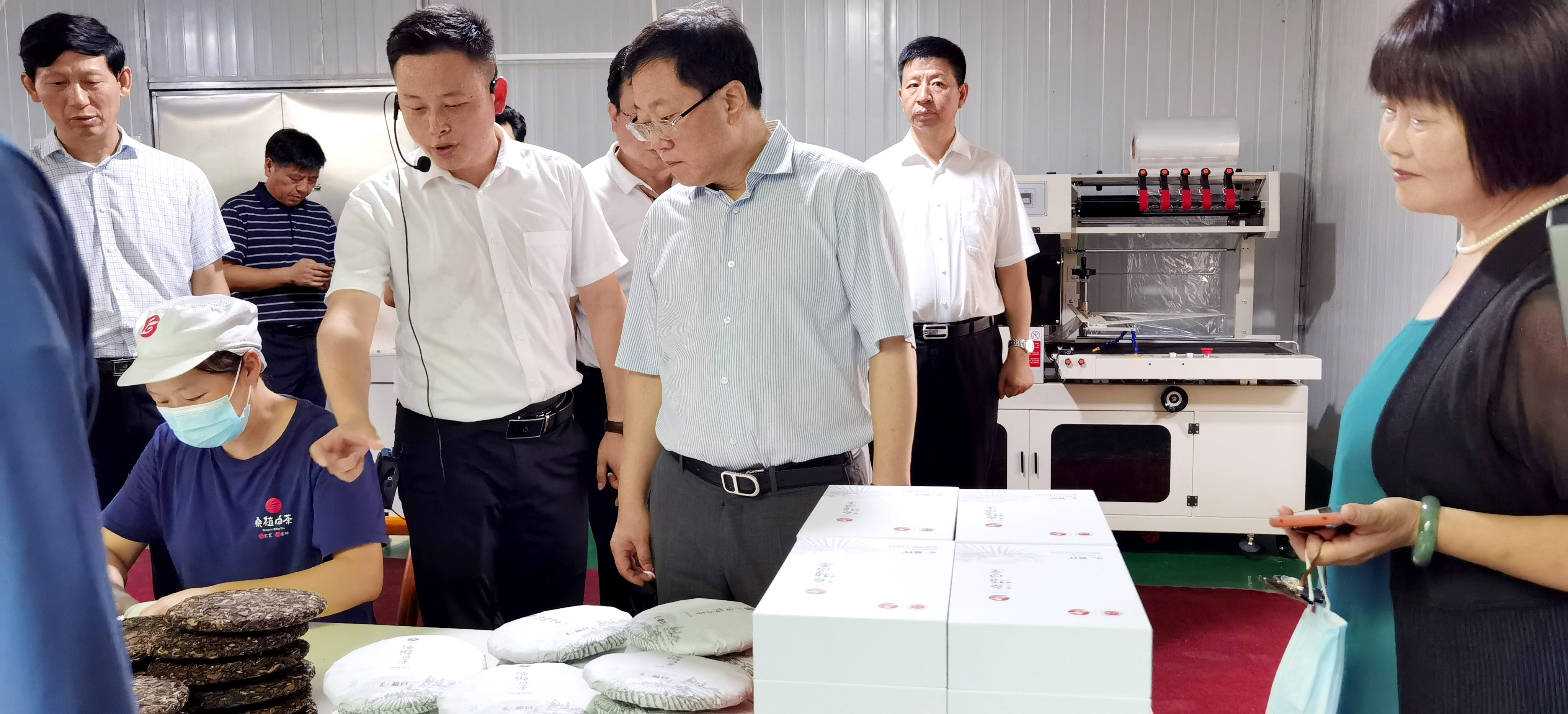 省人大常委會副主任陳文浩帶隊調研湘豐桑植白茶公司