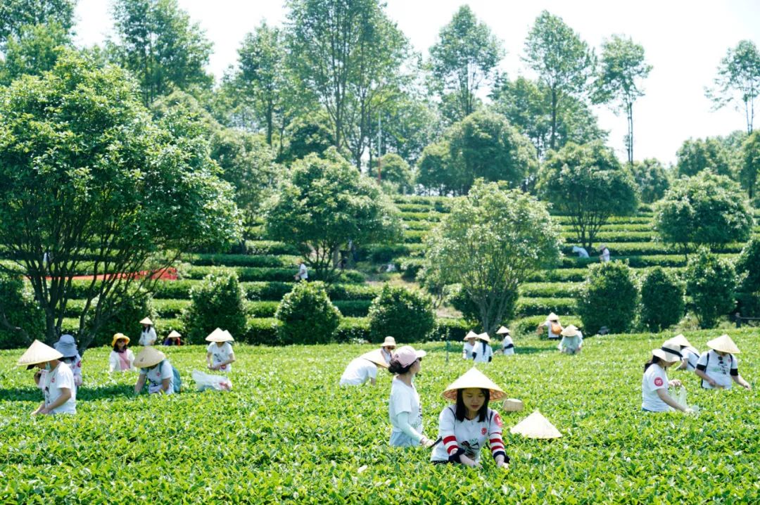 微信圖片_20220721113646.jpg 微信圖片_20220721113646.jpg