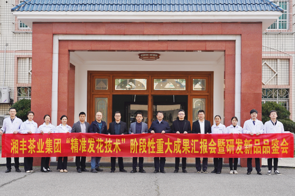 湘豐茶業(yè)集團(tuán)“精準(zhǔn)發(fā)花技術(shù)”取得重大階段性成果！