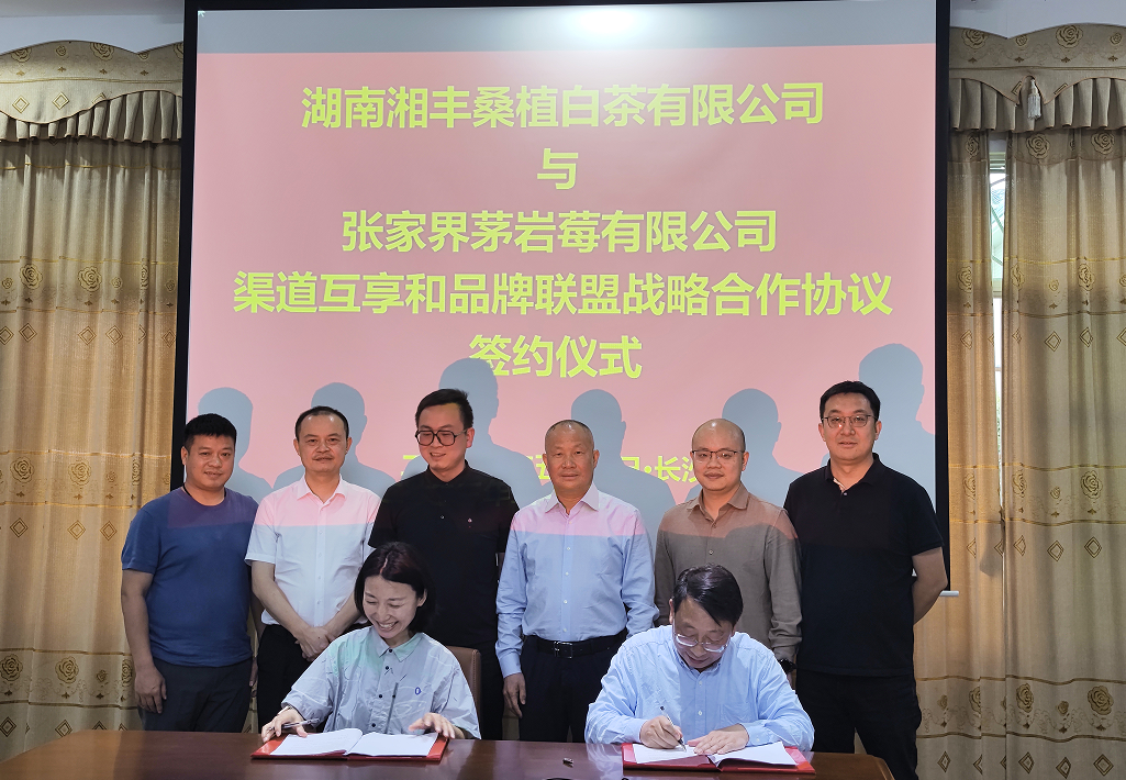 “白茶”“莓茶”牽手，品牌強(qiáng)強(qiáng)聯(lián)盟！