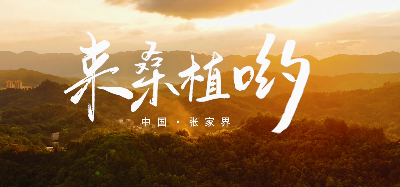 桑植推廣歌曲《來桑植喲》發(fā)布！