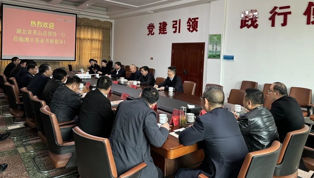 湖北省英山縣委書記鄭光文帶隊考察湘豐茶業(yè)集團
