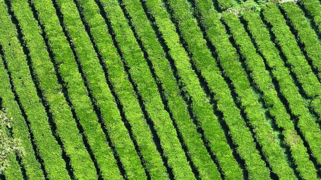 31c8f2a7a310e8177007daf1a6af21c45bef31551725844283074.png 31c8f2a7a310e8177007daf1a6af21c45bef31551725844283074.png