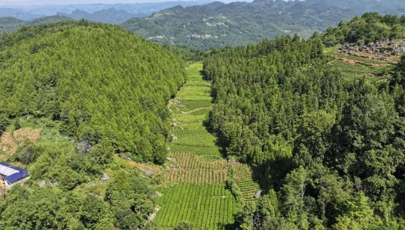 微信截圖_20240910101007.png 微信截圖_20240910101007.png