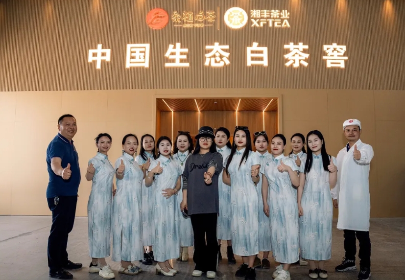 助力品牌騰飛 | 湘豐桑植白茶品宣與營(yíng)銷培訓(xùn)活動(dòng)如期舉行
