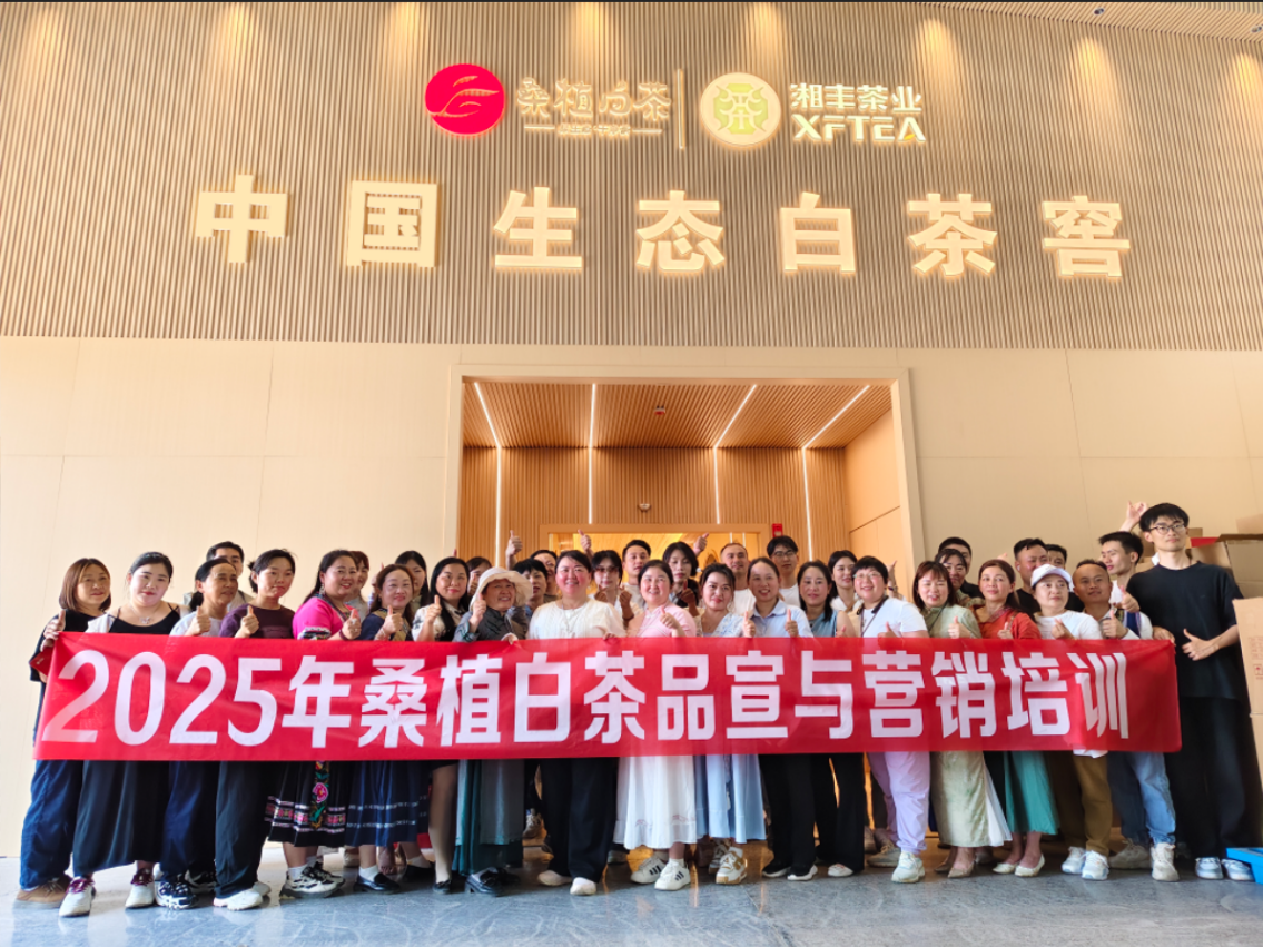 茶香賦能，紅色傳承丨湘豐桑植白茶品宣與營(yíng)銷培訓(xùn)（第三期）